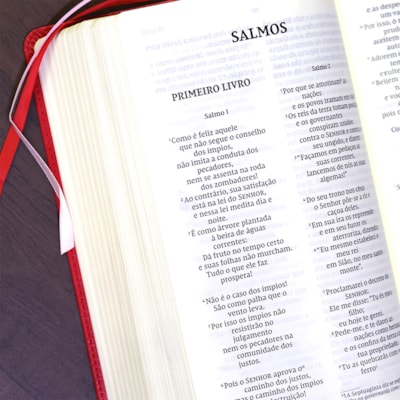 image_9eb30e23-00e7-4f26-9cce-19903d26a2a4