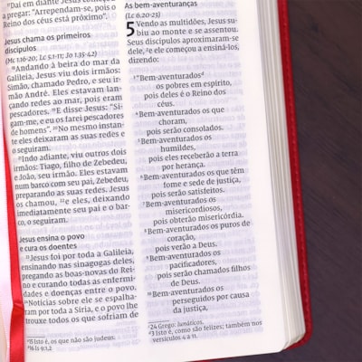 image_13088fc8-665d-48d7-ad50-6934563d77bb