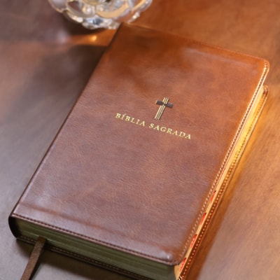 image_0ad82162-a67f-4e76-8aec-02f17671fa8e