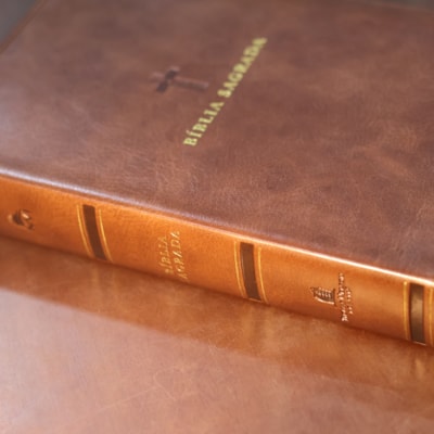 image_902585fd-e051-43cb-b54a-f24f91789a8f