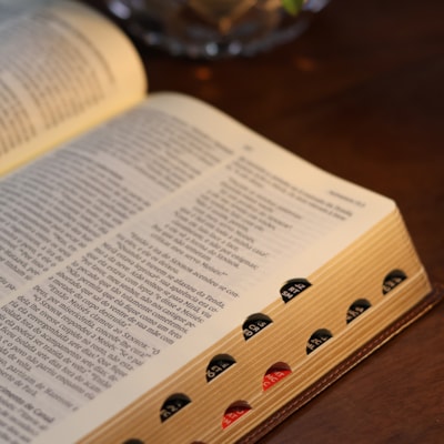 image_598070ff-1bfe-4d03-97f6-11a608597c51