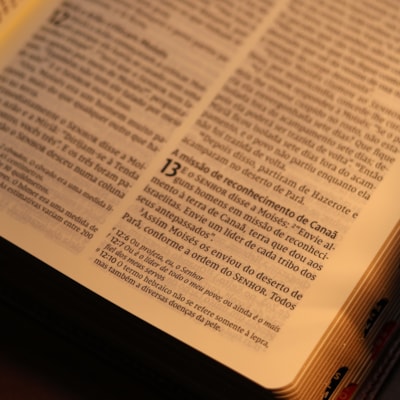 image_b495ed9c-ce0d-423a-a1f9-2bd626388ed7