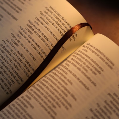 image_de254fc3-3a9a-43d2-8e65-310272dbcc62