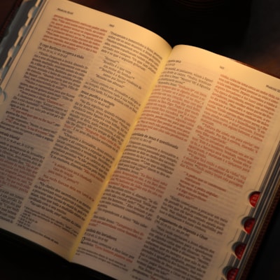 image_999ca66e-0dfe-4665-a4c8-c0627278e53c