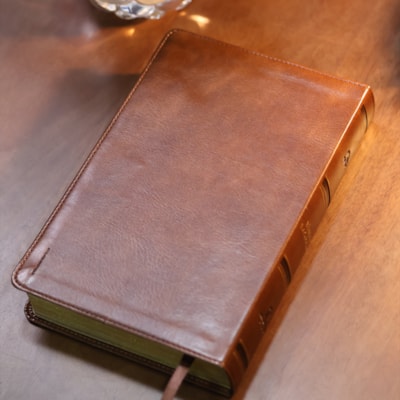 image_7bda73f8-a77d-4a24-9772-44ec040cb7b2