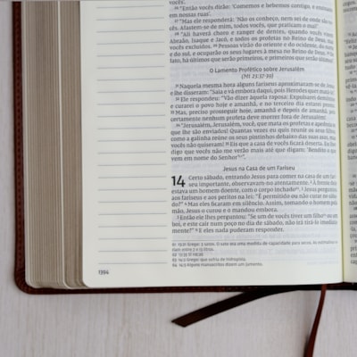 image_19babae5-5f97-49a5-9334-65aed12343f5