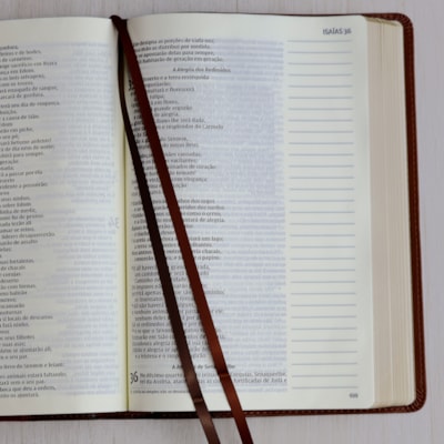 image_7b72d504-012b-4177-b2ff-7cd27354c1de