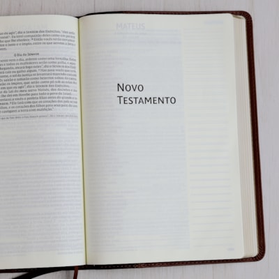 image_b2c7c73c-0df3-4b02-9c64-05cc91b7eb98