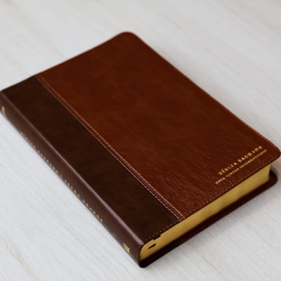 image_09a170b2-059d-4079-a13a-c5371d0daf7d