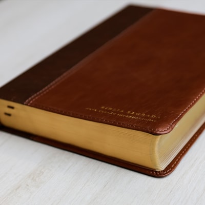 image_dd067f5a-38f4-4e72-852e-c0a048d743e3