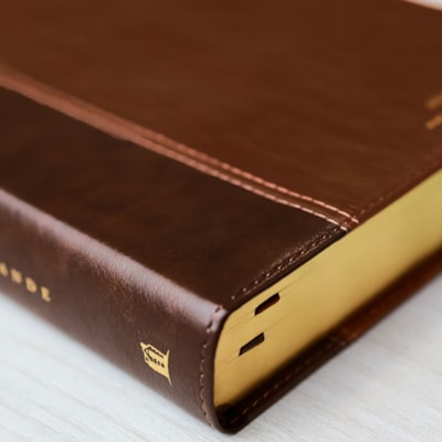 image_c04cfdb3-50b9-4b40-be1f-351fcb7cf460