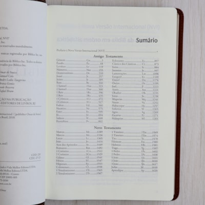 image_e0eb218d-de5a-4fd8-a1b0-952d3c71cdfe