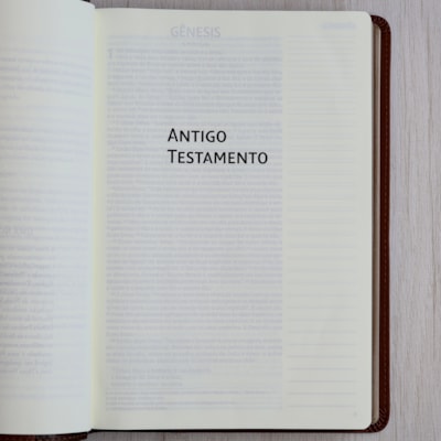 image_4feb8114-c008-4514-8d8a-c88130621834