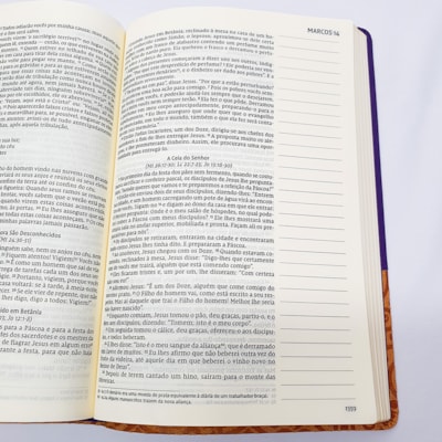 image_5226b85c-200e-46ce-b961-65206ecdce06