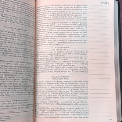 image_0a2c2767-9851-4d93-a52a-8e379f7cb7c7