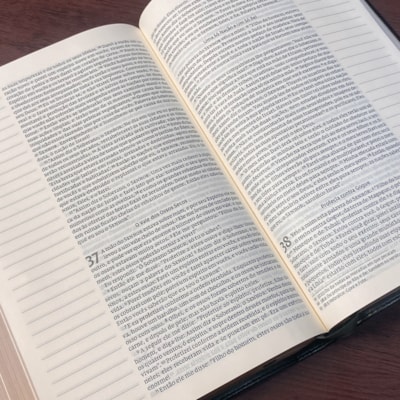 image_a6065705-5797-467e-af80-577394a66fc7