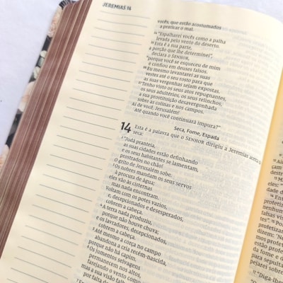 image_03f10f55-4192-4d01-accc-54d1288e3f13