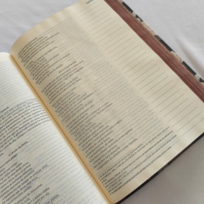 image_3d6dd435-095f-4f8b-a2dc-b9da643a7a54