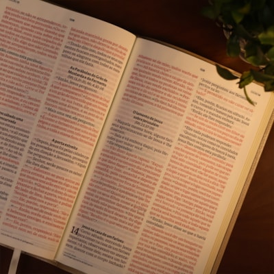 image_cf36dc2f-1802-4bef-bca7-6f9a10c3f8e7