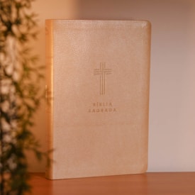 Segunda imagem do produto Bíblia Sagrada | NVI | Letra Gigante | Bege