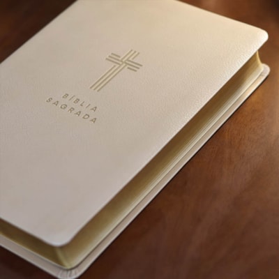 image_880abc8f-1434-40d7-a3ea-1a286edc8c56