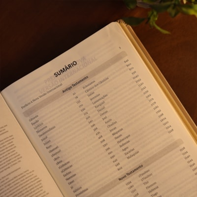 image_26f415f6-62be-4fdd-bae5-9503bdf4bc60