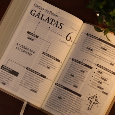 image_e671258e-20bc-478e-978e-b776a2cef20e