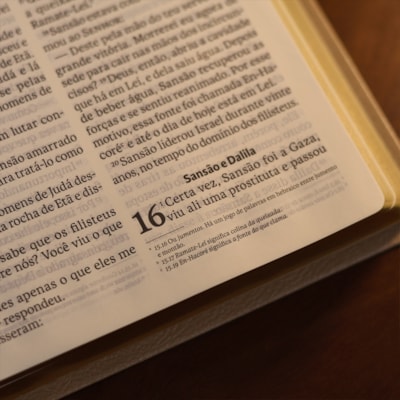 image_4c5114c4-088c-48ec-beeb-4cbb09e45494