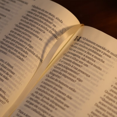 image_2cfd02e0-5a82-47ec-9406-7adf058b024e