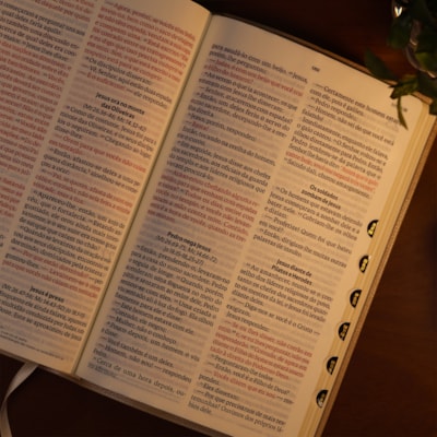 image_308e2ffb-95c9-4de3-92e6-e47e684a3baf