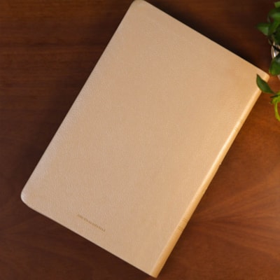 image_f82aa6d1-ee81-48bd-900d-c6778c2eaf32