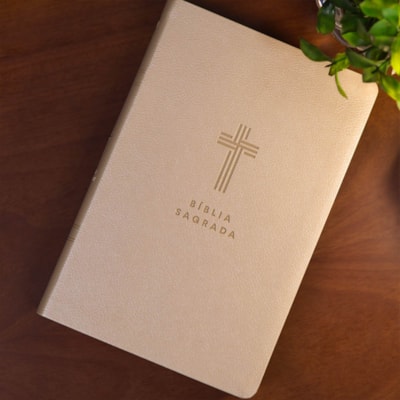 image_0d03c182-b1a7-429c-a707-5b2ccee365bf