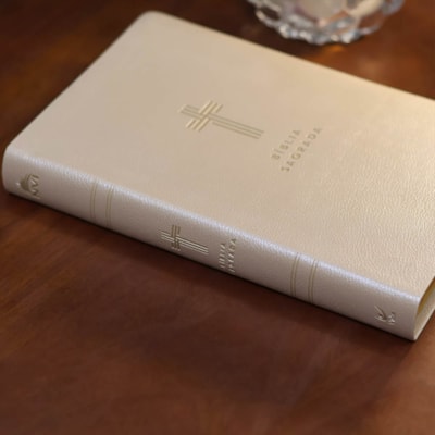 image_51f786b7-2c5f-4c5c-b6cf-7a7d648a80ec