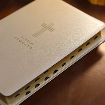 image_620a618a-bb1c-4629-aed3-1958671d6fcc