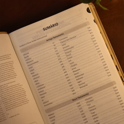 image_5c73a9fc-7f76-4c43-a3af-dda8ef120635