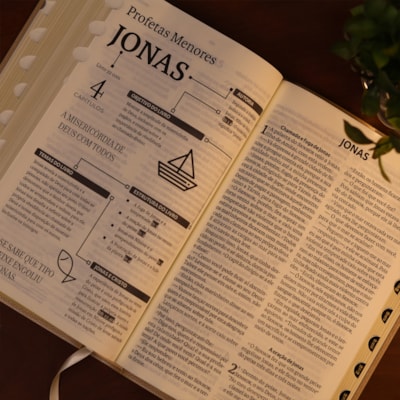 image_71236ed5-dba2-4fd1-b8aa-ca070e0d6ae7