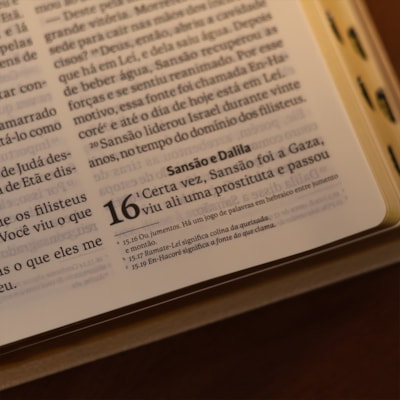 image_e4cd76d4-bf85-4657-9a48-be646d55cc9b