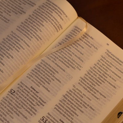 image_75adac30-1880-4063-a0bf-bbd8b2b8f801