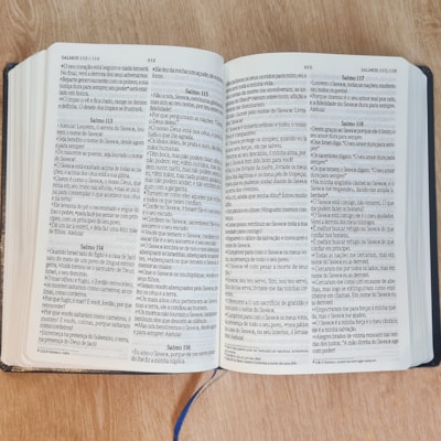 image_c2096c20-0b7a-4fc5-9046-5d26f27de909