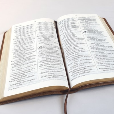 image_f9b2ac2b-be77-4c57-a4e7-dcd85583d04a