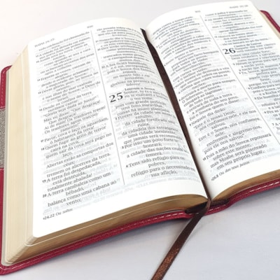 image_7f72c547-0a24-4d54-9f87-05c0bfe995a1