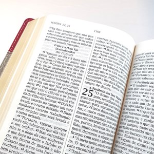 Bíblia Sagrada | NVI Letra Gigante | Luxo Rosa e Cinza