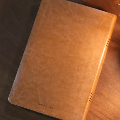 image_5c4038ab-0cd3-40e3-9983-1f89ebd9234d