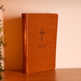 Segunda imagem do produto Bíblia Sagrada | NVI | Letra Gigante | Marrom
