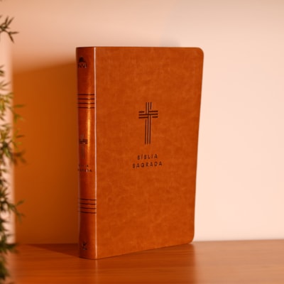Segunda imagem do produto Bíblia Sagrada | NVI | Letra Gigante | Marrom