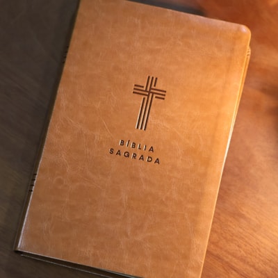 image_166b9559-bc7b-4f0e-9428-f12a21e5c322