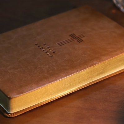 image_fcdda313-7249-4b05-ad42-761696cd7480