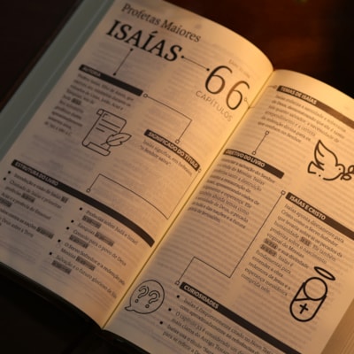 image_33cbeebe-ed4d-4ea5-aae7-e5dab2b62aeb