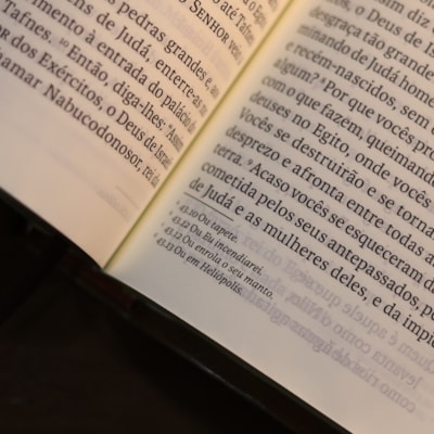 image_b928b4ba-d1e9-46fd-8704-a60bd0536b2c