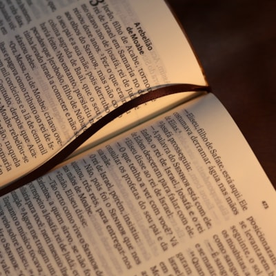 image_ca6e736d-a6fd-4465-b30e-57f337dbd82c